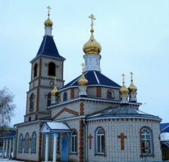 Храм Рождества Христова с. Новые Шимкусы